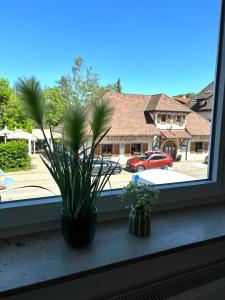 REMA Homes - Gesamte Wohnung, Küche, Parkplatz, Terrasse