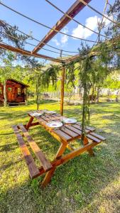 Chalet en verre sous une pluie étoilée