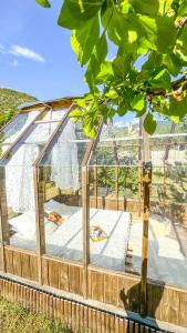 Tentes de luxe Chalet en verre sous une pluie etoilee : photos des chambres