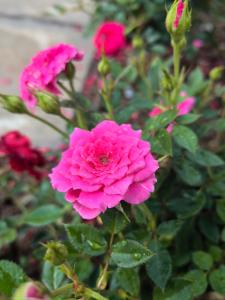 清迈三诺河畔精品度假酒店 Sannot Riverside Boutique Hotel