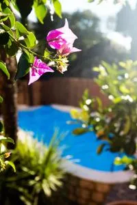 Villa Fiore - Brentonico