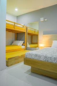 Tropical Stay Accommodations Dao