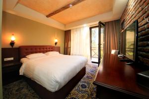 Borjomi Palace Health & Spa Center