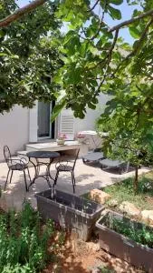 All'ombra dell'ulivo - Impalata