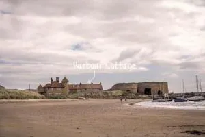 Lovely cottage, stunning views! - 滨海牛顿