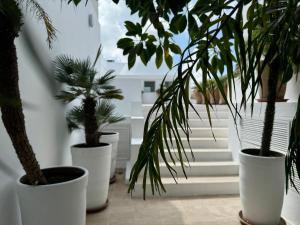 Villa Hafa