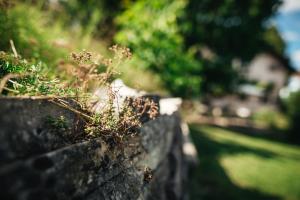 Haus Archaeopteryx – privater Außen-Pool – einzigartig im Naturpark