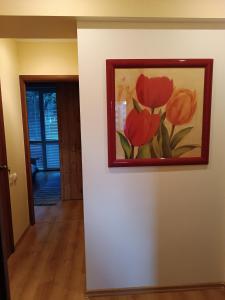 Quiet Dzelzavas Street Apartment