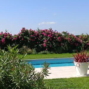 B&B / Chambres d'hotes Entre Mer & Filles : photos des chambres