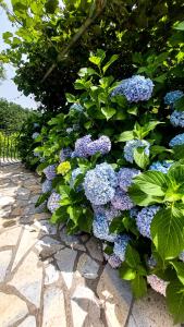 Superb Apartments Virpazar