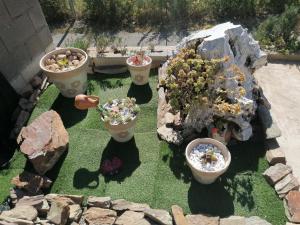 La casetta di Tzia Caicca img4