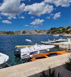 Apartment Maslenica Seaview