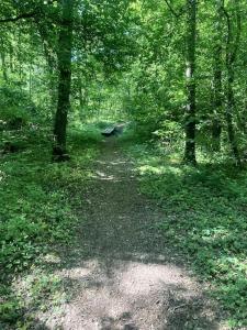 Mysigt boende nära Söderåsen