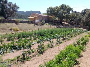 holiday home su Niberalzu img22