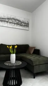 Apartman Nino - Dicmo