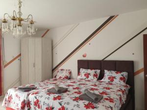 Montenegrinbeautystar