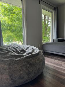 Modern home in Downtown Wpg