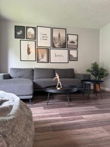 Modern home in Downtown Wpg
