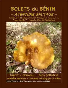 Paul Yasso SEKOU - Kara