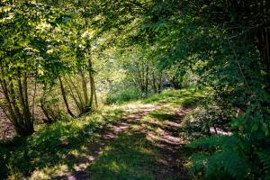 B&B / Chambres d'hotes Moulin de Retord, cote etang - Chambres d-hotes : photos des chambres
