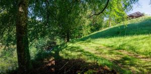 B&B / Chambres d'hotes Moulin de Retord, cote etang - Chambres d-hotes : photos des chambres