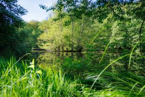 B&B / Chambres d'hotes Moulin de Retord, cote etang - Chambres d-hotes : photos des chambres