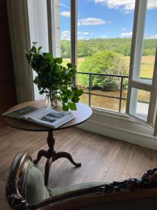 B&B / Chambres d'hotes Chateau de La Tour en Brenne : photos des chambres
