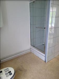 Appartements A DEUX MINUTES DU CHATEAU FORT de SEDAN : Appartement 1 Chambre