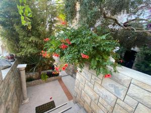 Spacious Apartment, Villa Tania