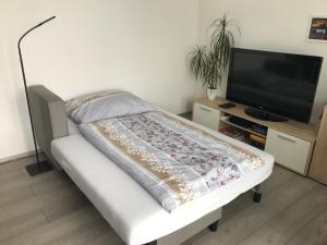 Příjemný apartmán Křoví v rodinném domku se sdíleným bazénem, terasou a zahradou