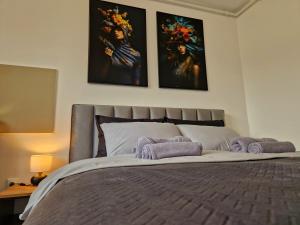 Modern Studio Onești