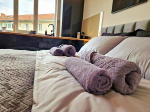 Modern Studio Onești