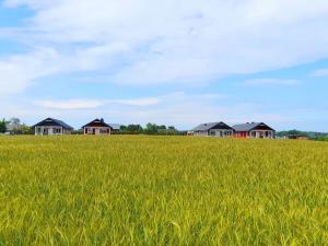 Domki Valhalla Polna 8a Chłopy Sarbinowo