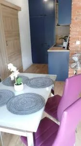 Apartament na Kruczej II - 波尔科维采