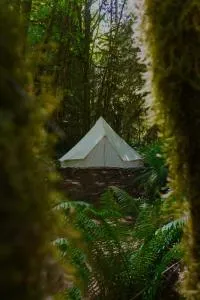 Olympic Glamping - Ovington