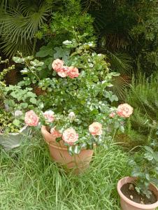 Sardinia Ovest 2 img36