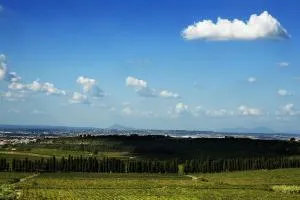 姆鲁葡萄酒度假村 - 弗拉斯卡蒂