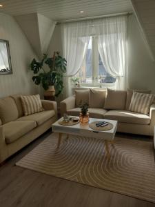 Light terrace city apartment Alesund