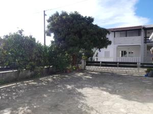 Apartment Schwarz in Petrčane IV 