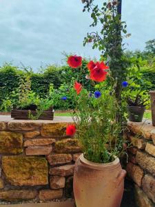 Maisons d'hotes La lande seche : photos des chambres