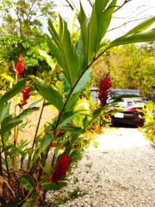 Hermosa Casa en Medio de la Naturaleza Monteverde