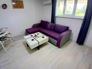 Sunset Near The Lake