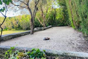 Villas Villa Azur Star, Vence, French Riviera : photos des chambres