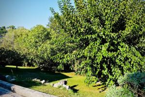 Villas Villa Azur Star, Vence, French Riviera : photos des chambres