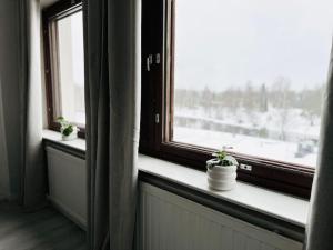 Valoisa yksiö 7km Himokselta