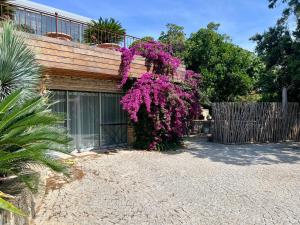 Appartements Au rythme des cigales : photos des chambres