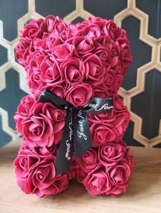 Aster Aparts Wyspa Sobieszewska