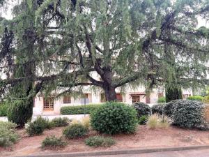 Appartements Le Provence 28m2 Lecques Parking-400m Plage Mer : photos des chambres