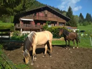 Gaïana - Terre des Possibles - Saint Pierre en Faucigny