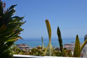 Light-filled apartment with sea views